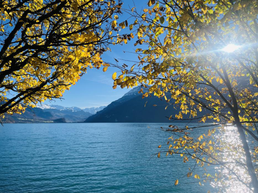 20260803 Goldswil Thema Herbst