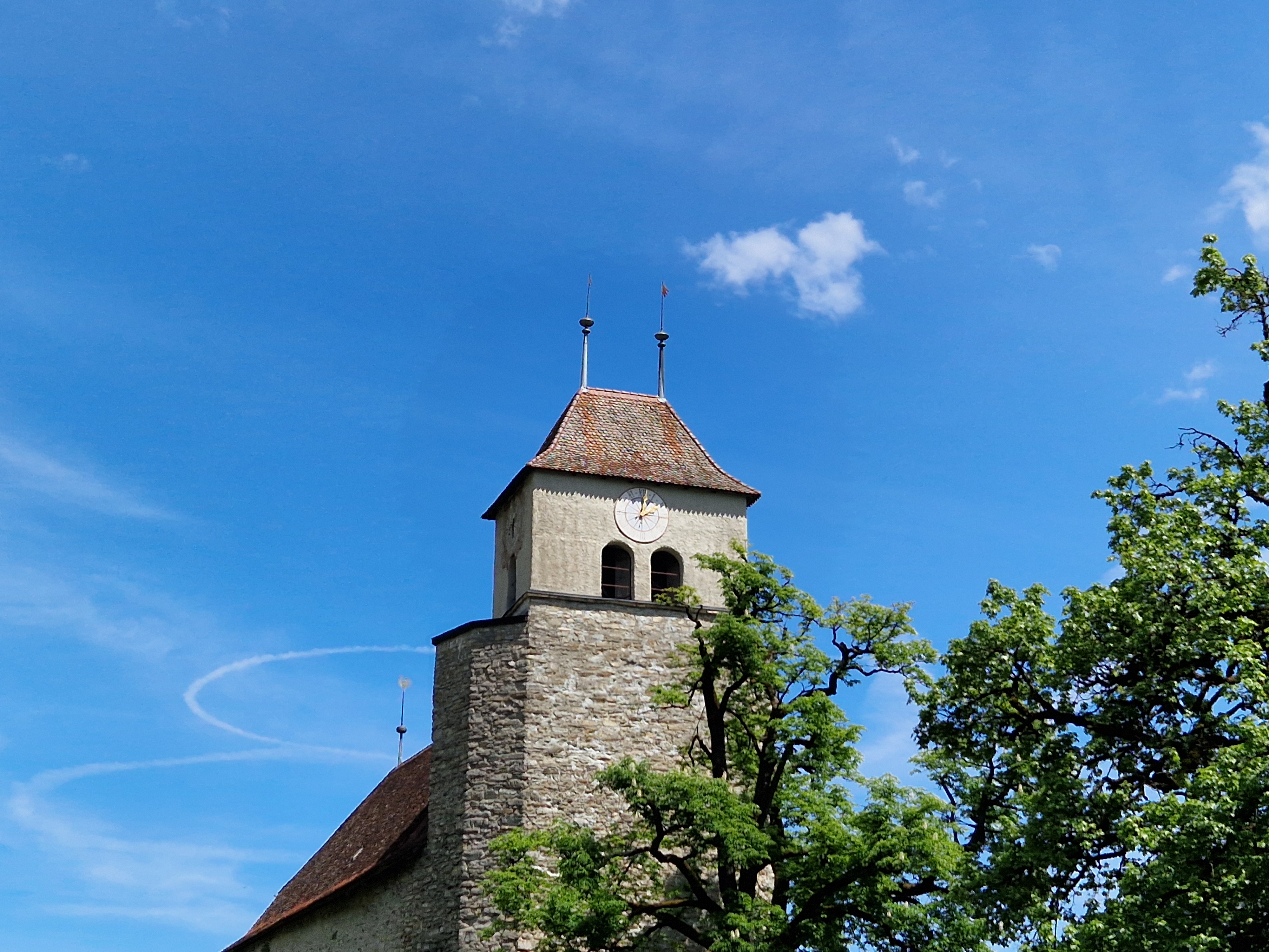 20240514_140206.jpg 20240514_140206