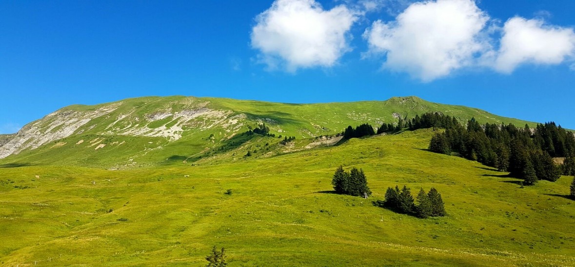 Lombachalp.jpg Lombachalp